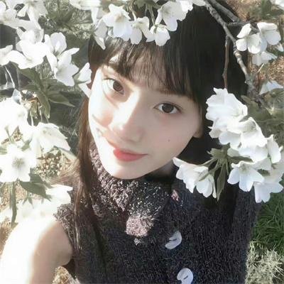 友情岁月之山鸡故事